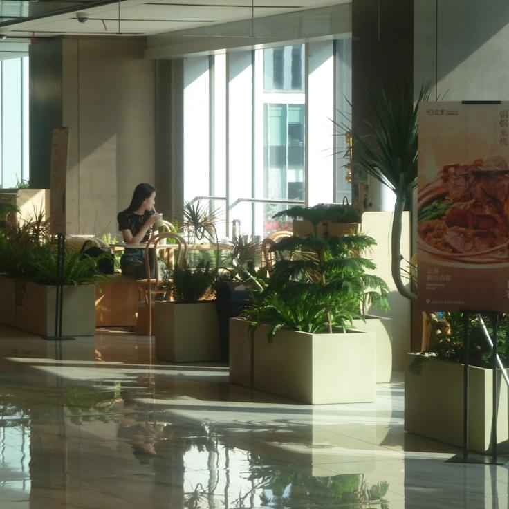 Family-friendly shopping and daily life in United Kingdom