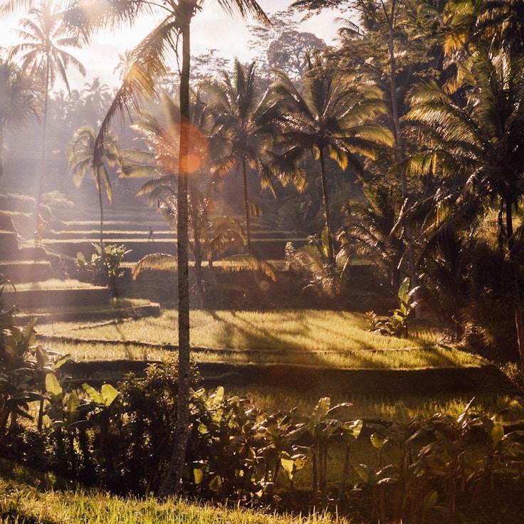 Kids playground area in United Kingdom